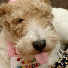 Ксения Юрьевна, Санкт-Петербург