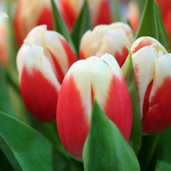 Натали Жила, 09.09.1981, Харьков