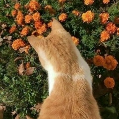 Эрика Ким, 15.04.2002