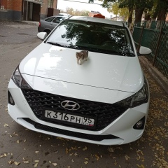 Спокойный Парень, Грозный