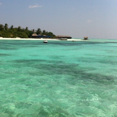 Skatina Горбачевстрануразвалил, 26.07.1986, Ставрополь