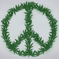 Тоша Алджанбеков, 30.05.1992, Токмок