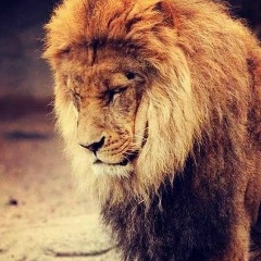 Бек Джалил, 30.06