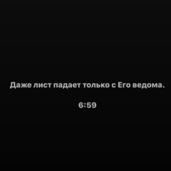 Solomon Rothschild, 01.12.1984, San Francisco