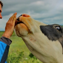 Андрей Мелик-Парсаданян, 31.08.1984, Фрязино