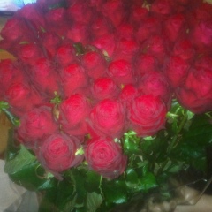 Дидар Базарбаева, 24.07.1967, Алматы