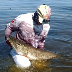 Максим Иванович, 07.10.1983