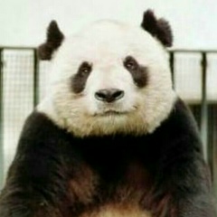 Александр Марчук, 14.05.1983, Брест