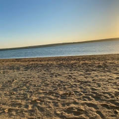 Askar Akylov, Шымкент