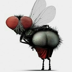 Юлия Шевнина, 23.12, Санкт-Петербург