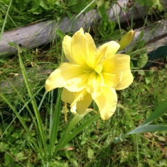 Елена Буздалова, 28.09.1948, Санкт-Петербург