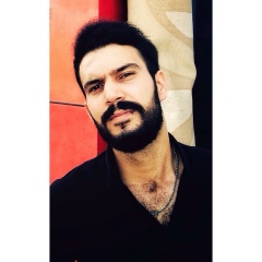 Самир Мамедов, Киев