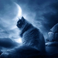 Василий Капусто, 16.03, Москва