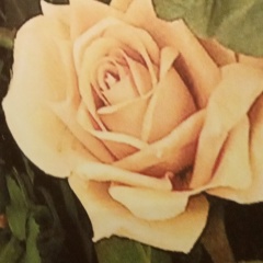 Альбина Кулагина, Уфа