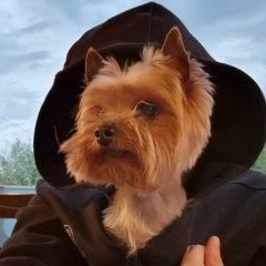 Rus A, 09.09, Алматы