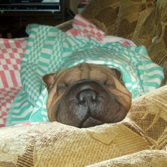 Наталья Сидорова, 12.02