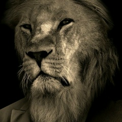 Игорь Львов, 14.03.1985, Мытищи