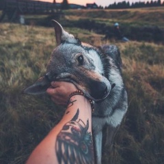 Руслан Фурсов, 06.07