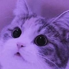 막심 새끼-고양이, 13.11.1984, Павлодар