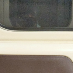 Антон Шульгин, 20.04.1989, Санкт-Петербург