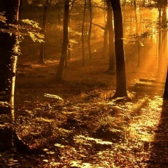 Александр Харламов, 01.05.1988, Москва