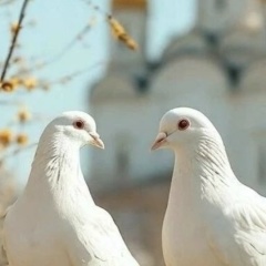 Елена Кириллова