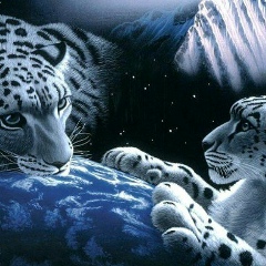 Xursand Matyaqubov, 20.11.1983