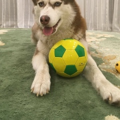 Никита Володин, 23.04.1984, Красноярск