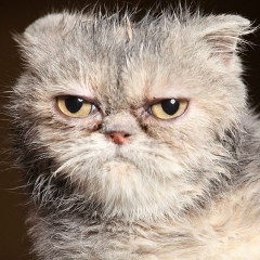 Дмитрий Журавлев, 26.02, Омск