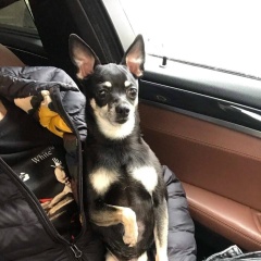 Просто Ники, 26.03.1989, Москва