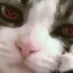 Султан Омаров, 13.06, Алматы