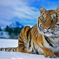 Марита Богданова, 28.02.1988, Москва