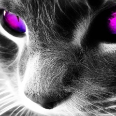 Женя Сырчин, 31.10.1989, Рудный