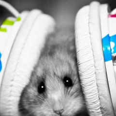 Александр Таропчин, 18.08, Санкт-Петербург