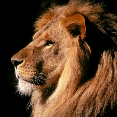 Оля Кусраева, 25.07.1991, Владикавказ