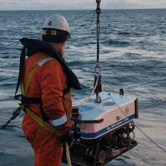 Андрей Климанов, Москва