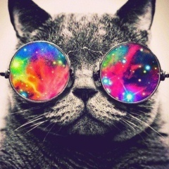 Вадим Ежов, 10.08.1992