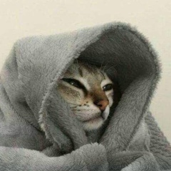 Олег Безродный, Алматы