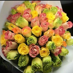 Алия Агманова, 10.05, Семей