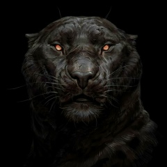 Дмитрий Братчиков, 27.09.1984, Санкт-Петербург