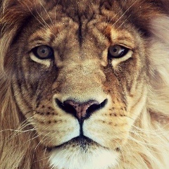 Илья Аждаров, 10.08, Тбилиси