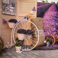 Валентина Ворызгина, 22.07, Санкт-Петербург