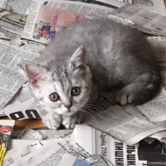 Андрей Фокин, 22.01.1990, Алматы