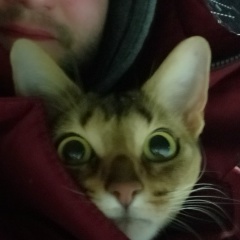 Глеб Гузиков, 19.06.1991, Жуковский