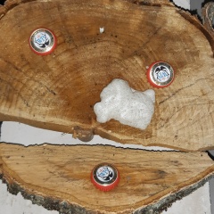 Алексей Попов, 29.02