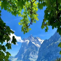 Фнх Нфх, Санкт-Петербург