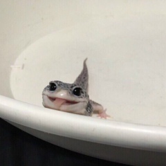 Алтын Мусабекова, 28.12