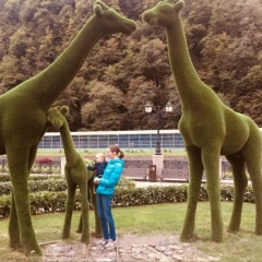 Анна Семенова, Воронеж