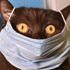 Александр Трифоненко, 21.09.1978, Санкт-Петербург