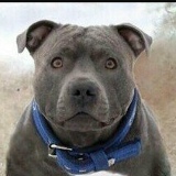 Алмаз Хамзин, 07.01.1945